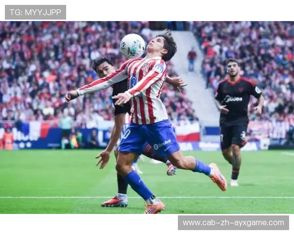 格列兹曼主导关键阶段